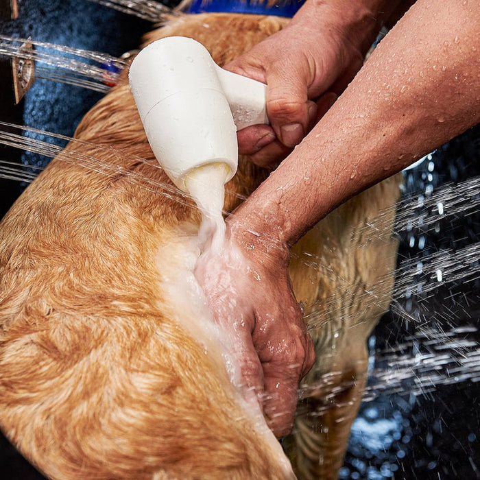 Ella's Bubbles Dog or Pet Walk-In Bath Tub, Infusion Microbubble Therapy, Ozone Sterilization, Right Swing Door