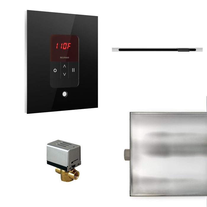 Mr. Steam Basic Butler Linear Steam Shower Control Package with iTempo Control and Linear SteamHead