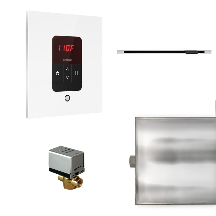 Mr. Steam Basic Butler Linear Steam Shower Control Package with iTempo Control and Linear SteamHead