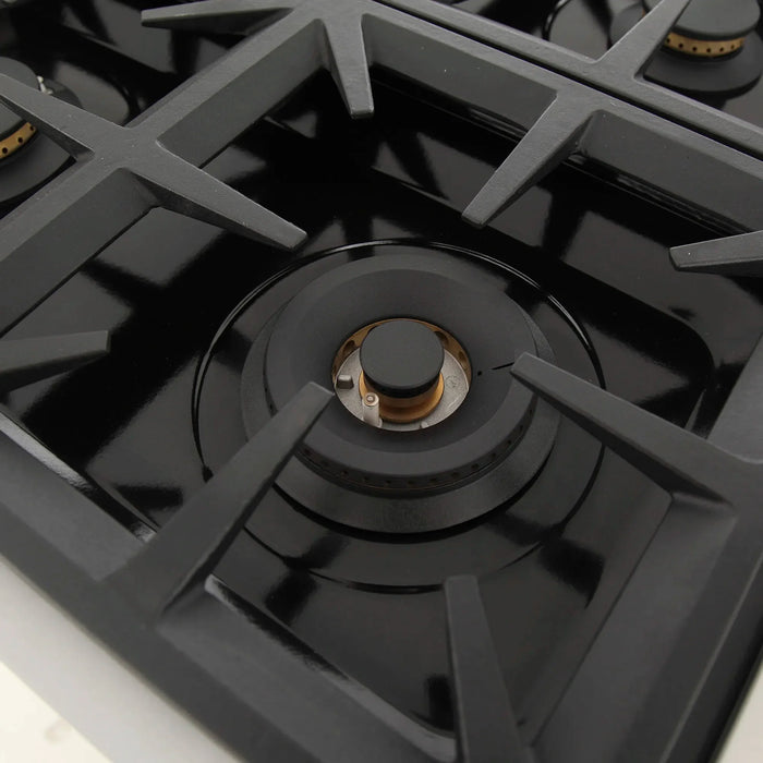 Kucht Professional 48-Inch 6.7 cu. ft. Gas Range in White with Silver Accents (KFX480-W)