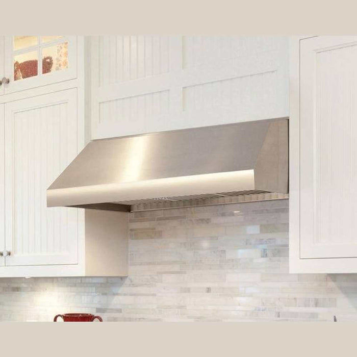 Thor Kitchen 30-Inch Professional Under Cabinet Range Hood in Stainless Steel with 800 CFM - 11-Inch Tall (TRH3006)