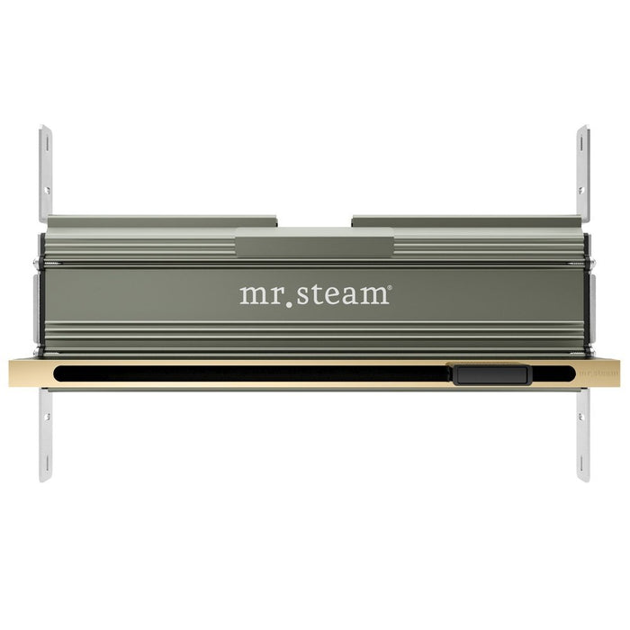 Mr. Steam XDream Linear Programmable Steam Generator Control Kit with iSteamX Control and Linear Steamhead in Black Polished Brass