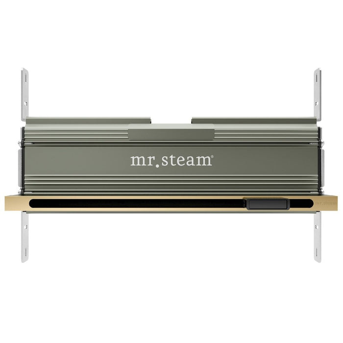 Mr. Steam XDream Linear Programmable Steam Generator Control Kit with iSteamX Control and Linear Steamhead in White Satin Brass