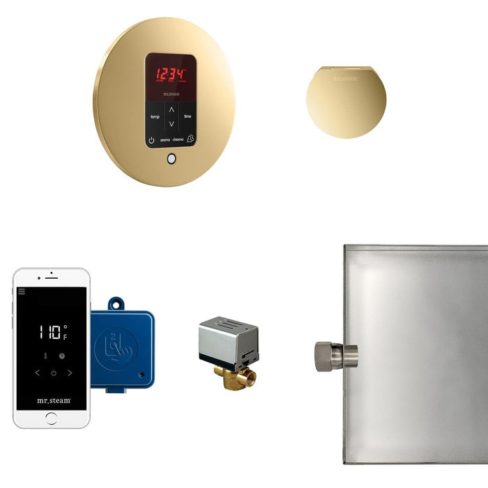 Mr. Steam Butler Steam Shower Control Package with iTempoPlus Control and Aroma Designer SteamHead in Round Polished Brass